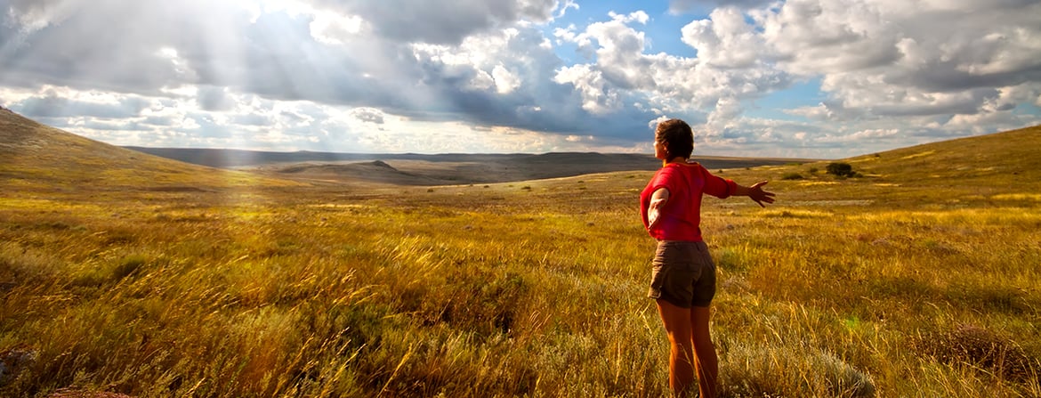 MSP 501 blog header 1254 x 480