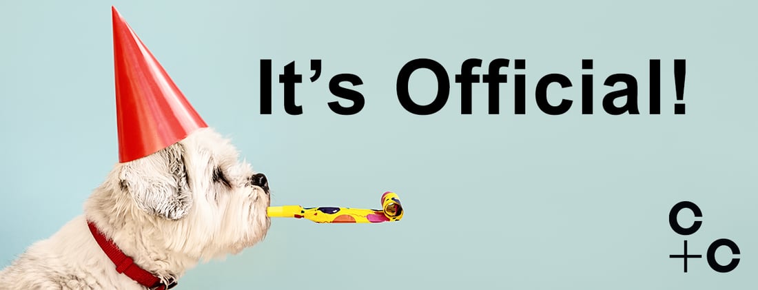 Official Launch C+C 1254 x 480